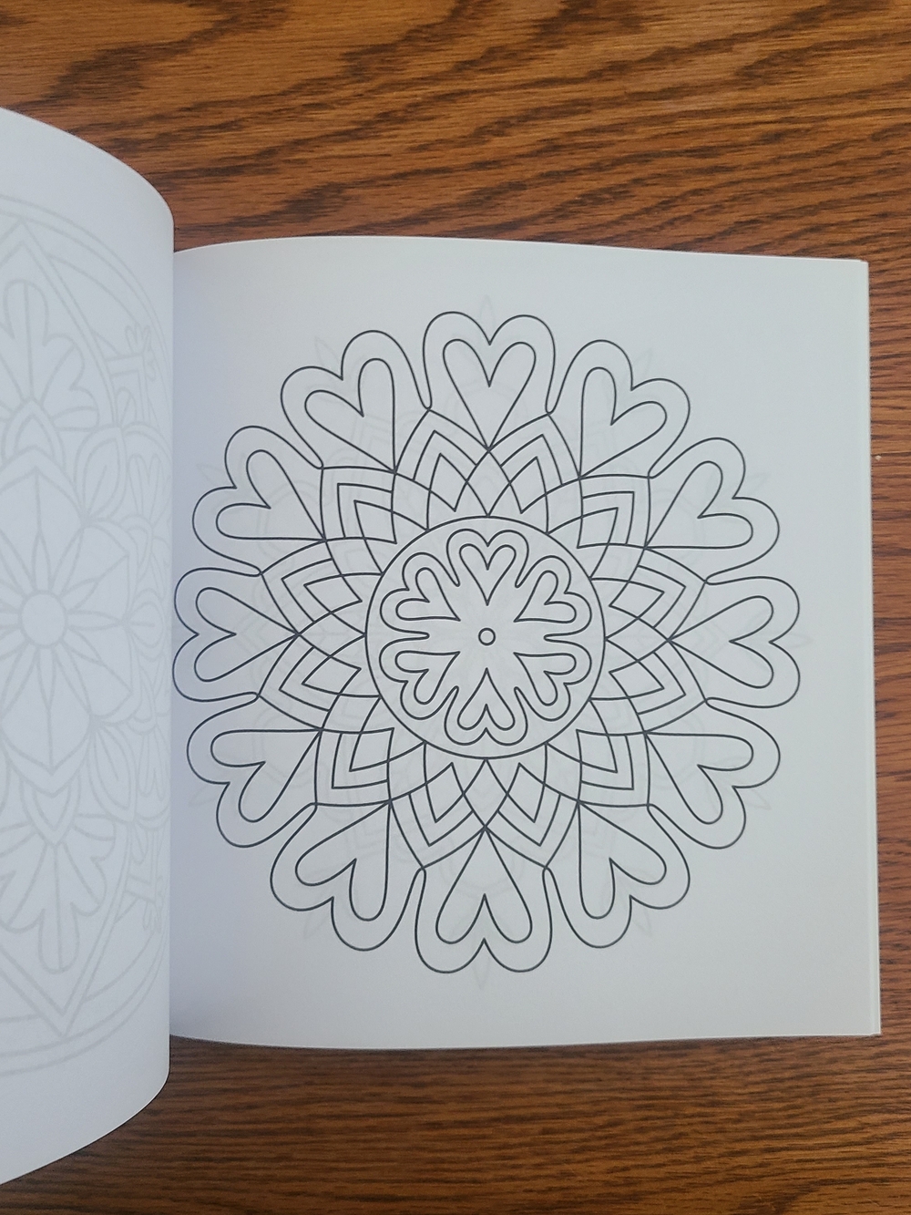 Easy Adult Coloring Book W/Ohuhu Glitter Markers - Picture 4 of 12